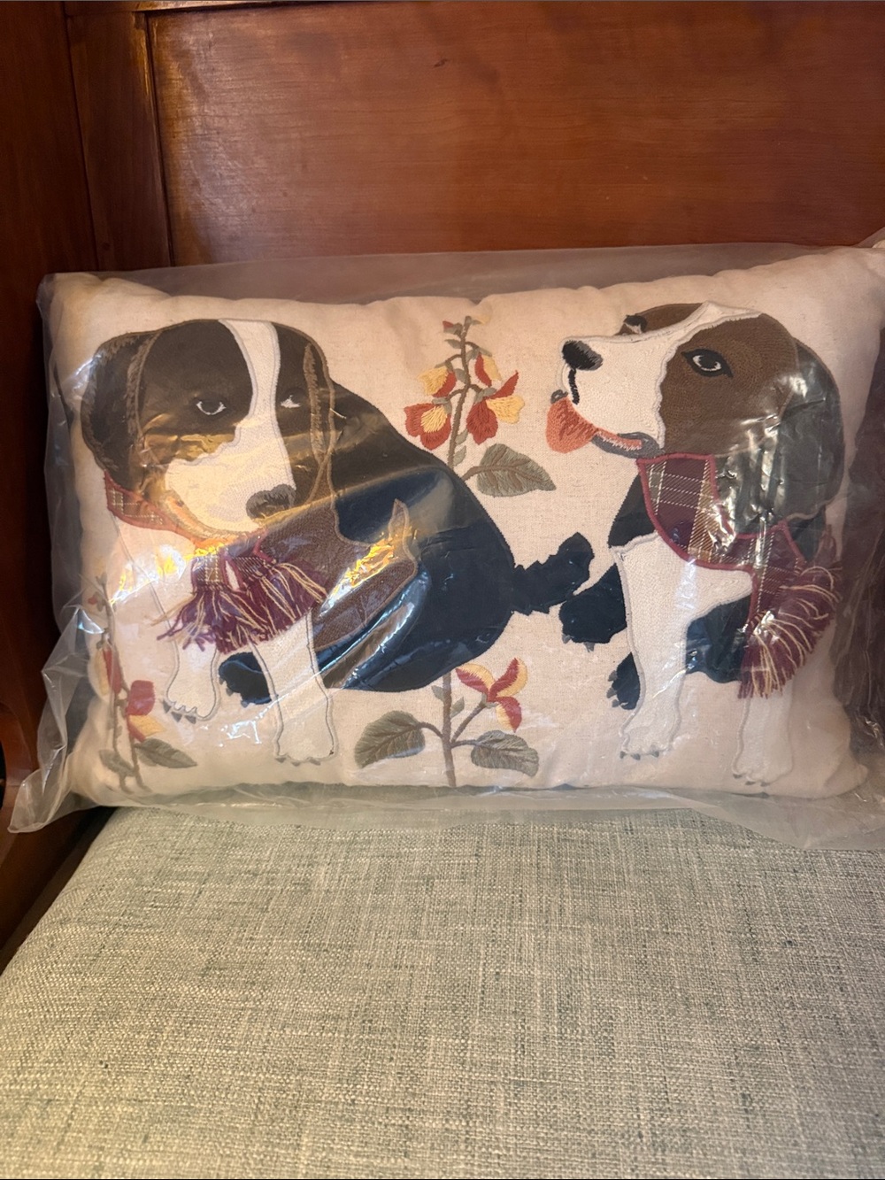 Perfect Set NWT Pier 1 Throw Pillow